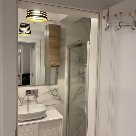 Luxury Center - Amzei Romana Apartment