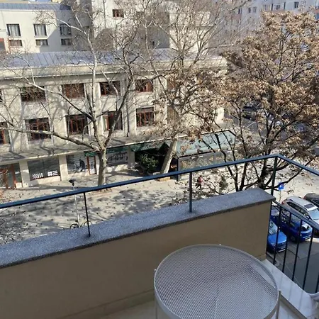 Luxury Center - Amzei Romana Apartment